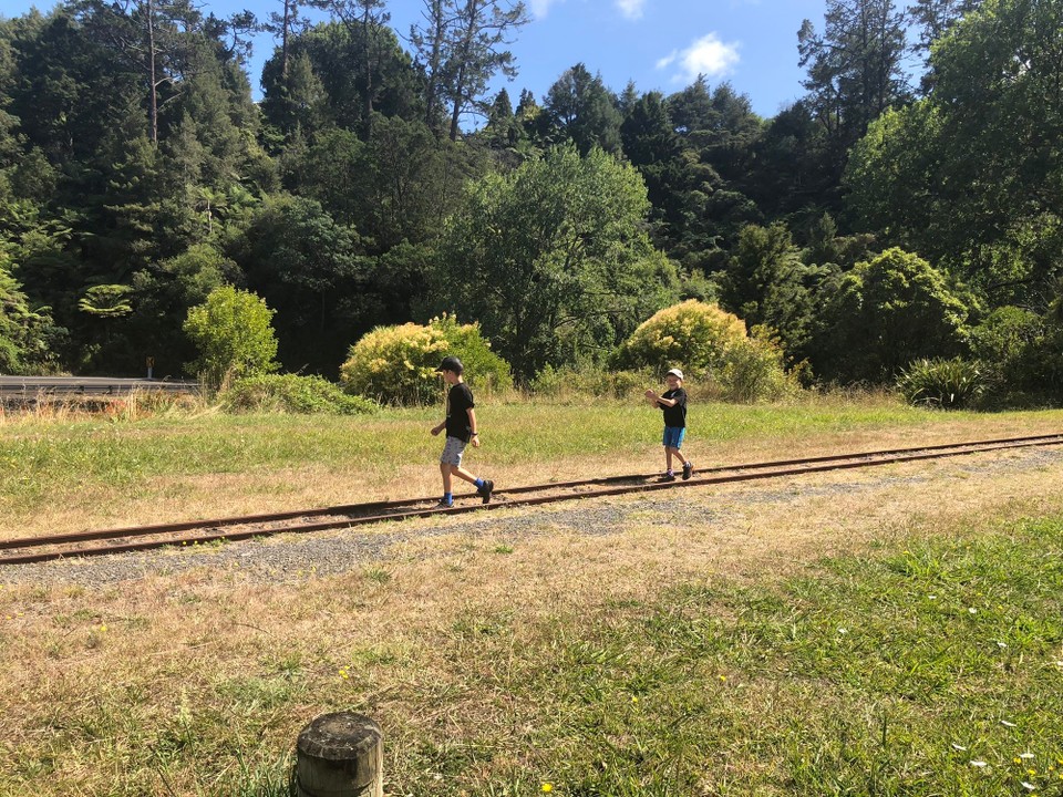 Neuseeland - Waihi - Zu Fuss geht es weiter in die Karangahate Gorge