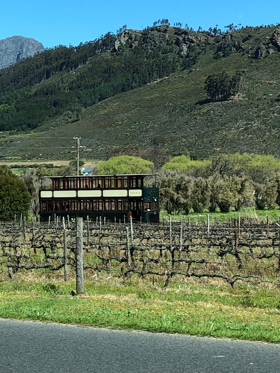 Südafrika - Stellenbosch - 