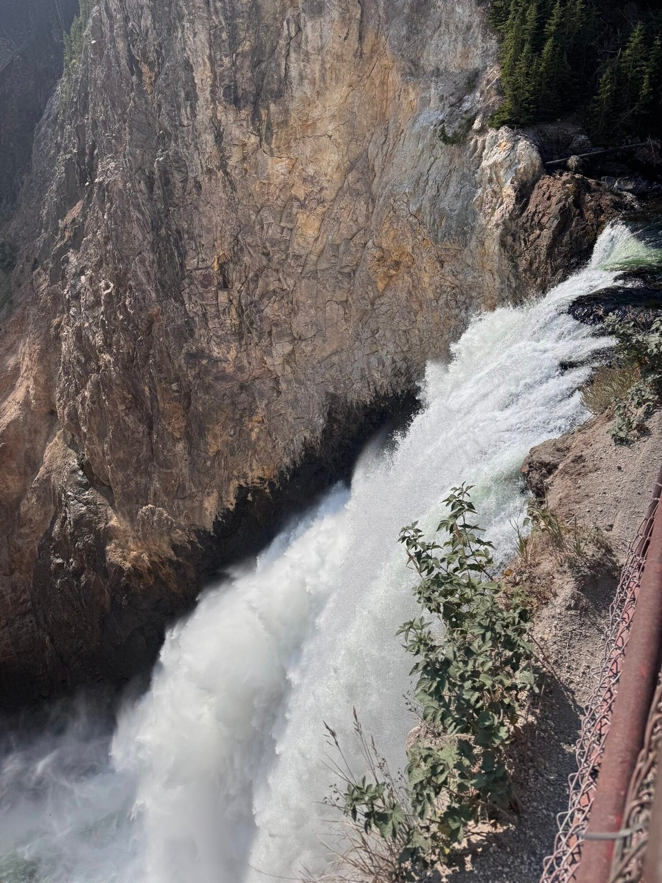 Vereinigte Staaten - Yellowstone National Park - Lower Fall: deh esch au sehr faszinierend gsi.☺️
