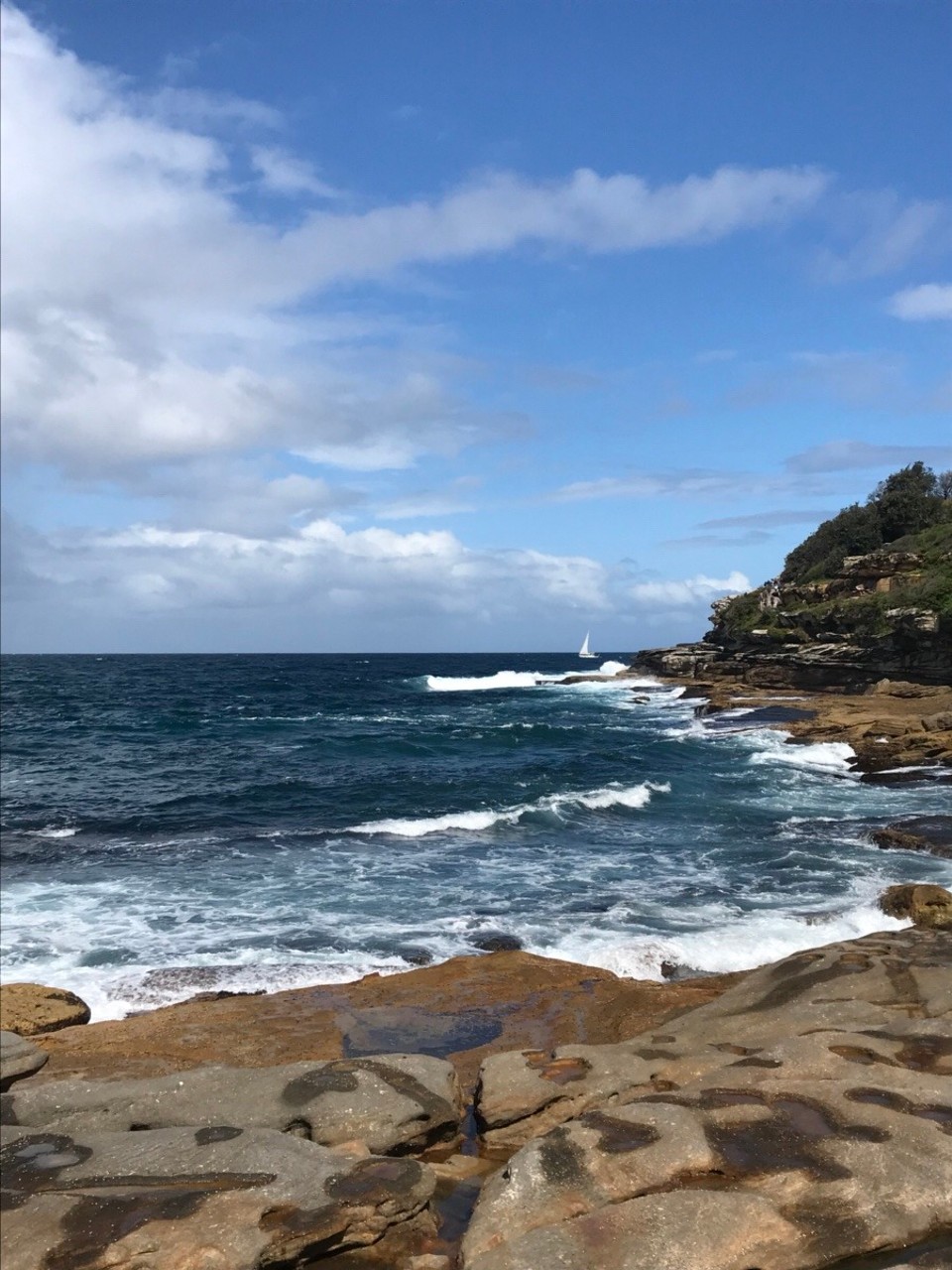 Australien - Bronte - 