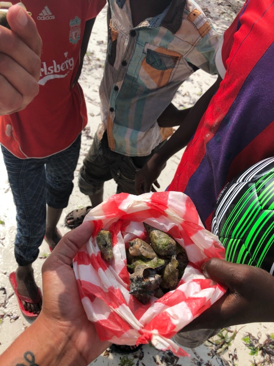 Kenia - Kwale - 