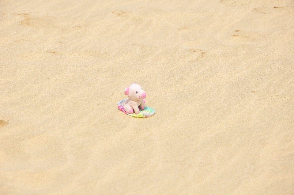 Neuseeland - Cape Reinga - Erster Versuch