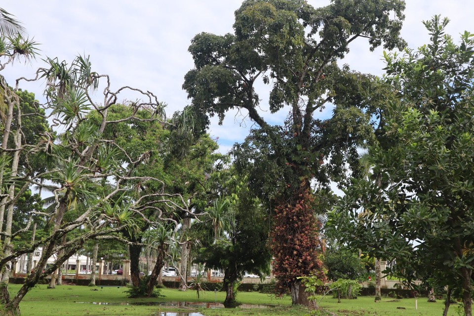 Fidschi - Suva - 