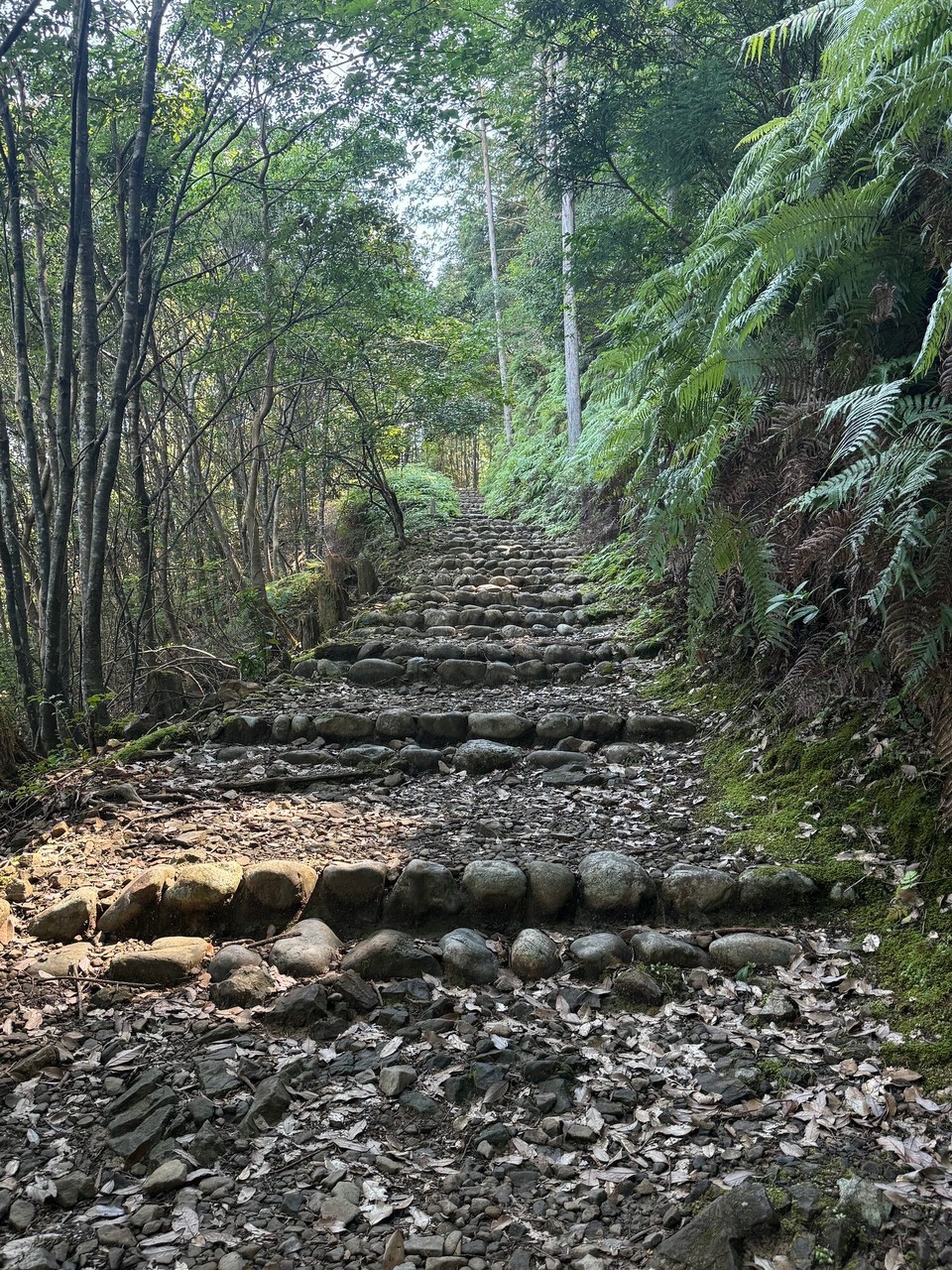 Japan - Shingu - 