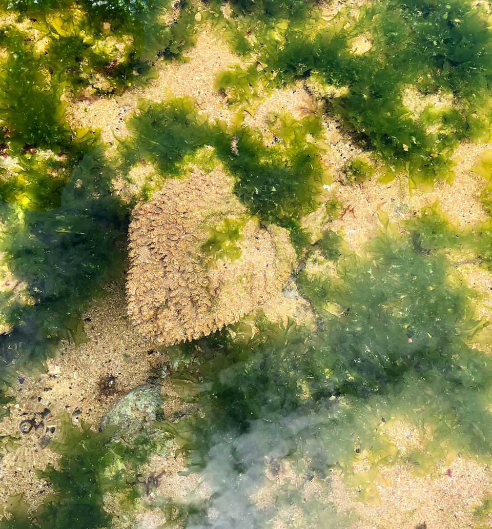 Brasilien - Salvador - 