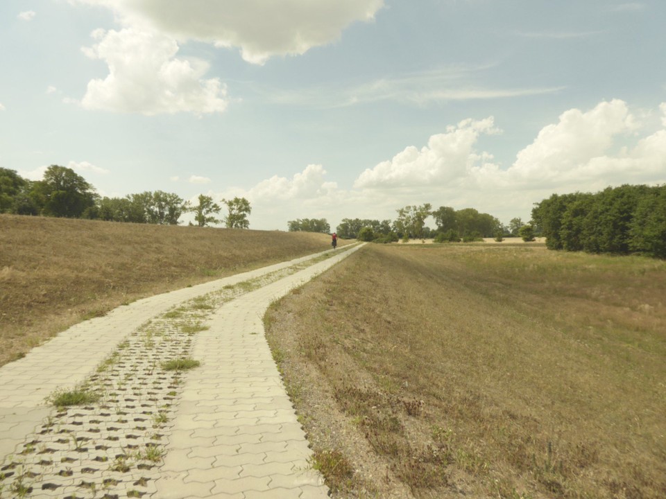 Deutschland - Tangermünde - Und dann das alte Spielchen. Kilometer und Kilometer auf dem Deich. Ich liebe es. Und dieses Mal mit Stefan im Blick. Noch schöner.