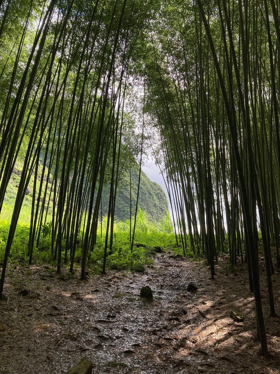Vietnam - Meo Vac - 