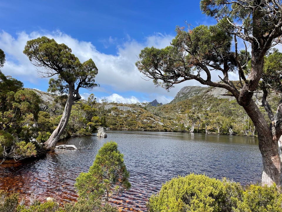 Australien - Launceston - Wombat Pool ohni Wombats (hald vilicht erst am Obig)