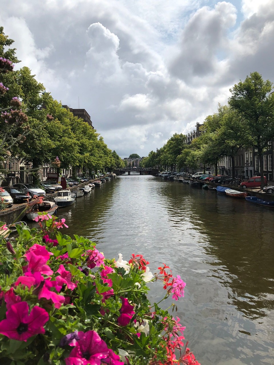 Niederlande - Amsterdam - 