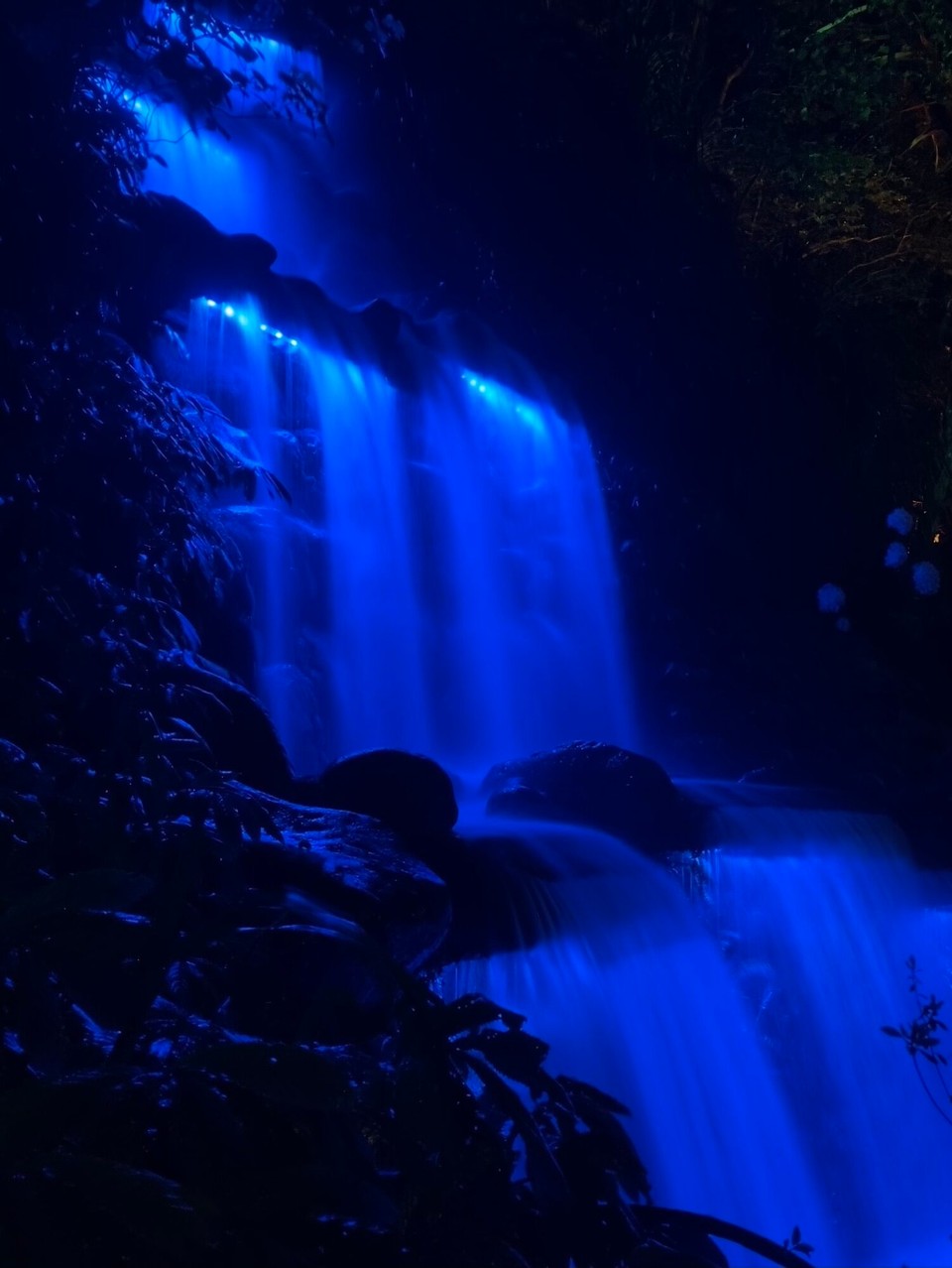 Neuseeland - New Plymouth - 