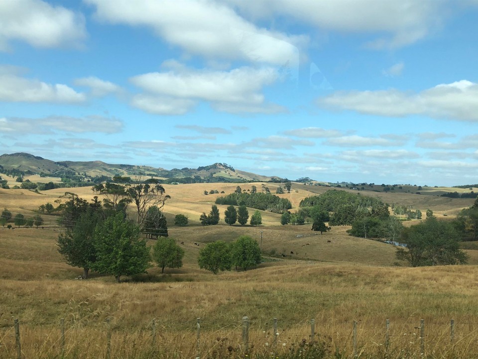 Neuseeland - Whangarei - Weiterfahrt in Richtung Auckland 