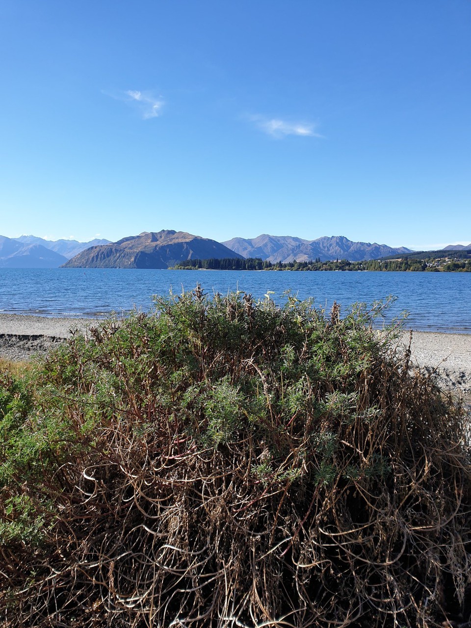 Neuseeland - Wanaka - 