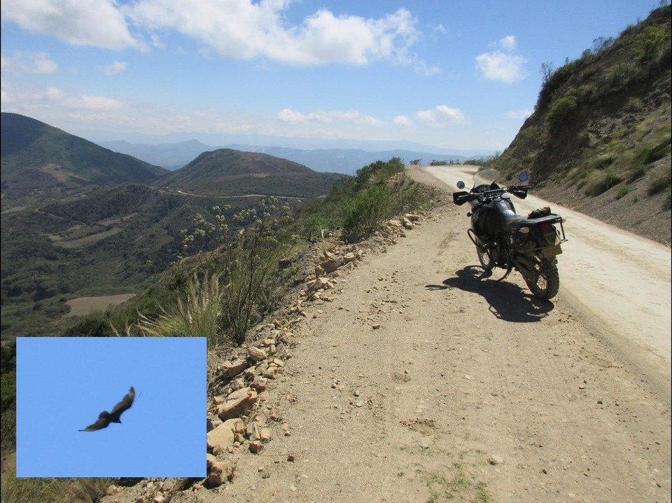 Bolivien -  - 