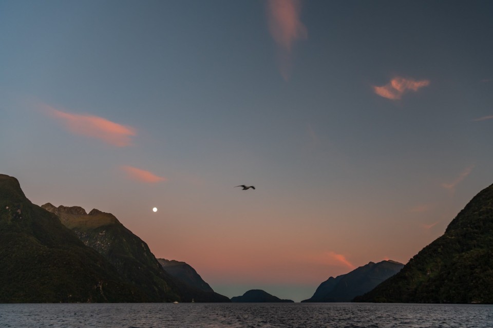 Neuseeland -  - 