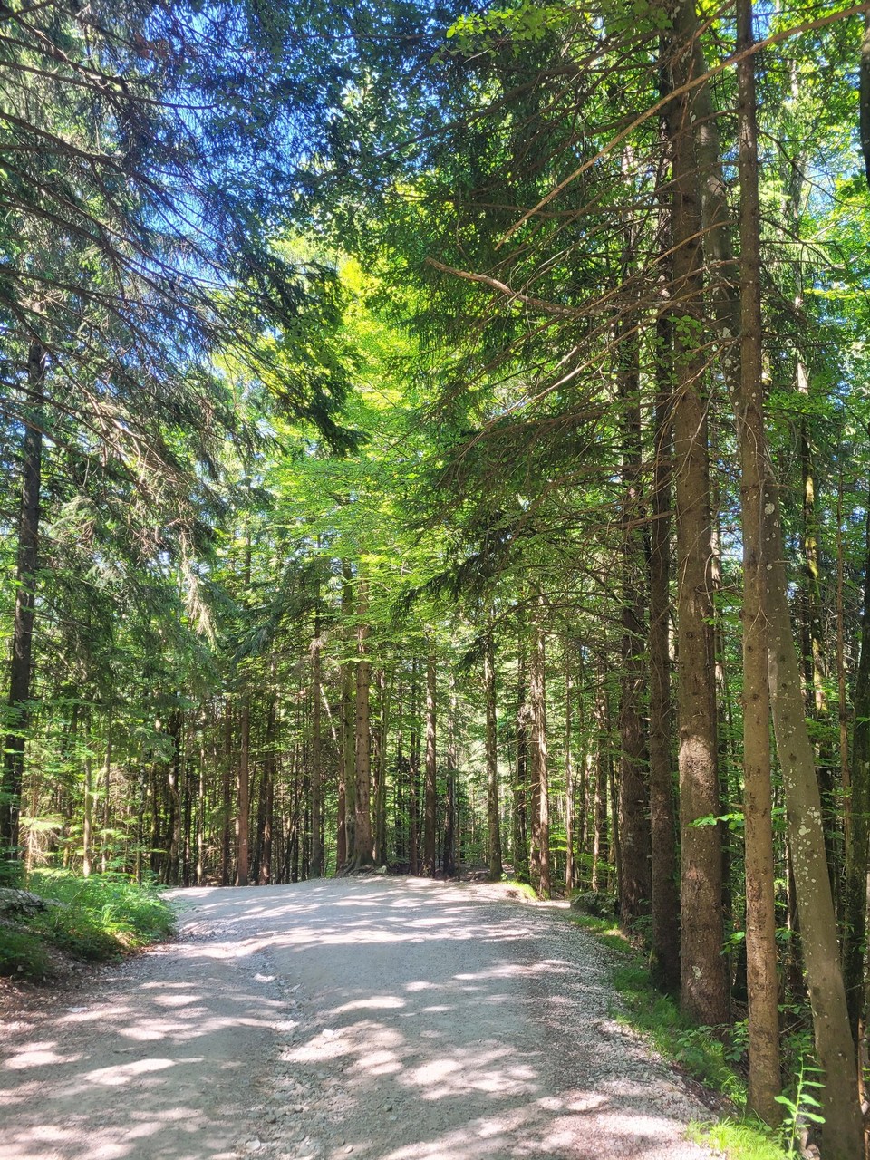 Deutschland - Schwangau - 