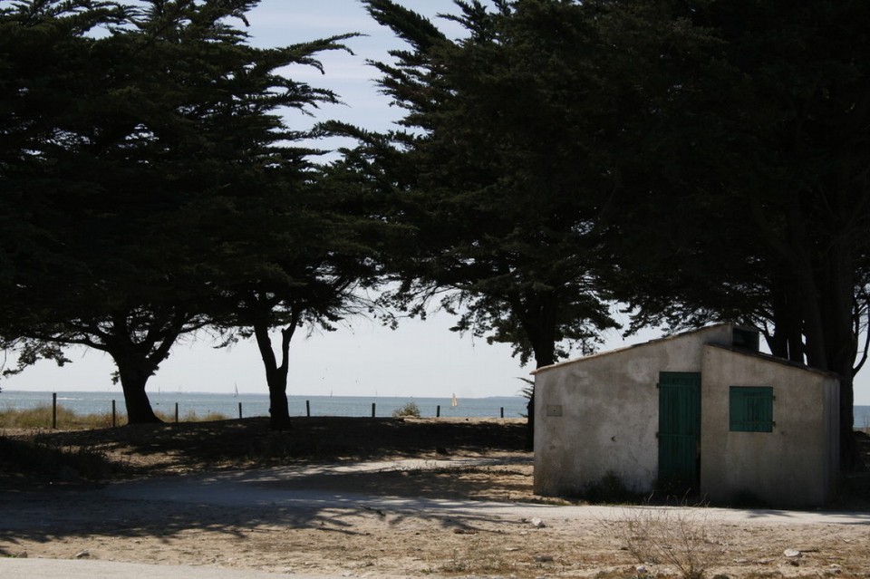 Frankreich - Île de Ré - 