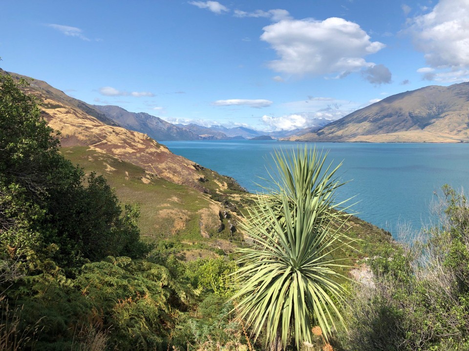 Neuseeland - Fox-Gletscher - Die Fahrt führt entlang des schönen Lake Wanaka