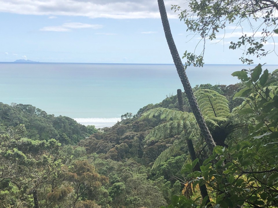 Neuseeland - Ohope - 