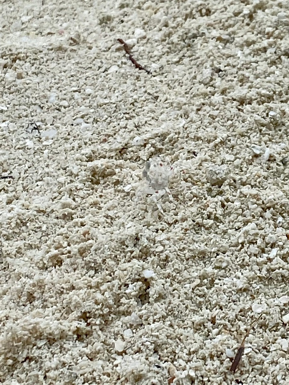 Malediven -  - Suchbild für alle, wer weiß was hier zu sehen ist???