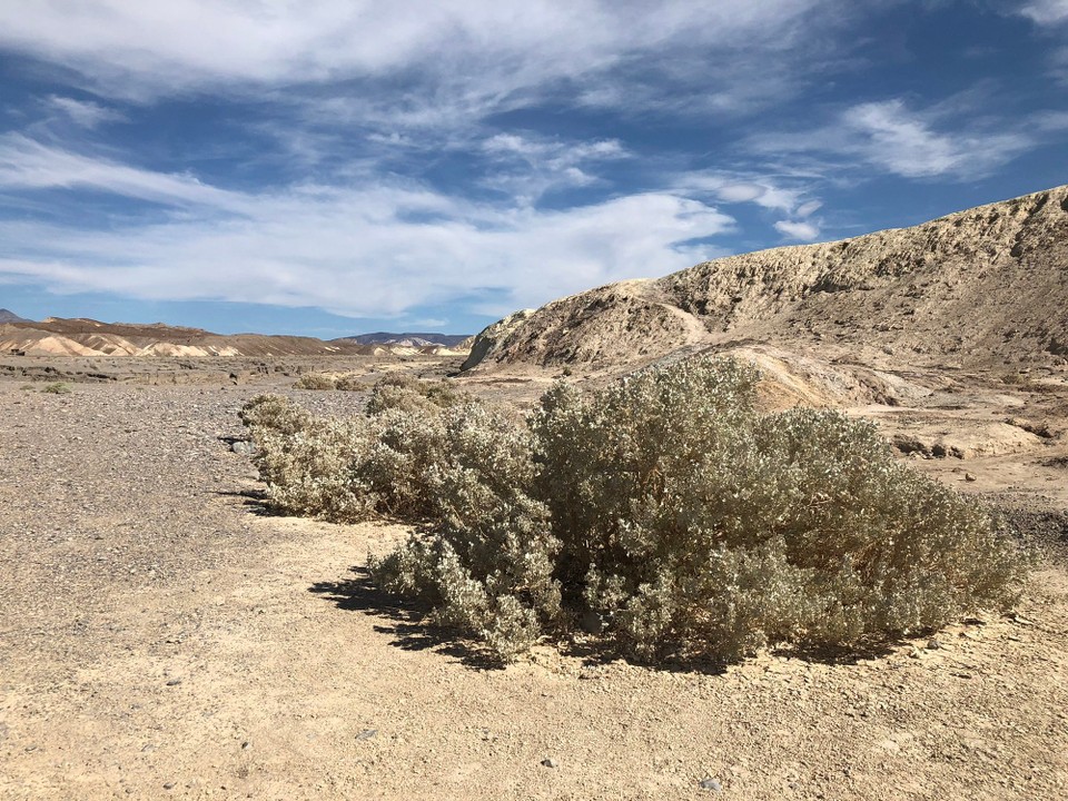 Vereinigte Staaten - Lone Pine - Zabriskie Point