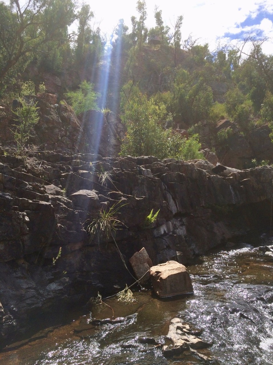 Australia - Glenisla - I don't even know where on the trail this picture was taken... I just have a thing with sunbeams :)