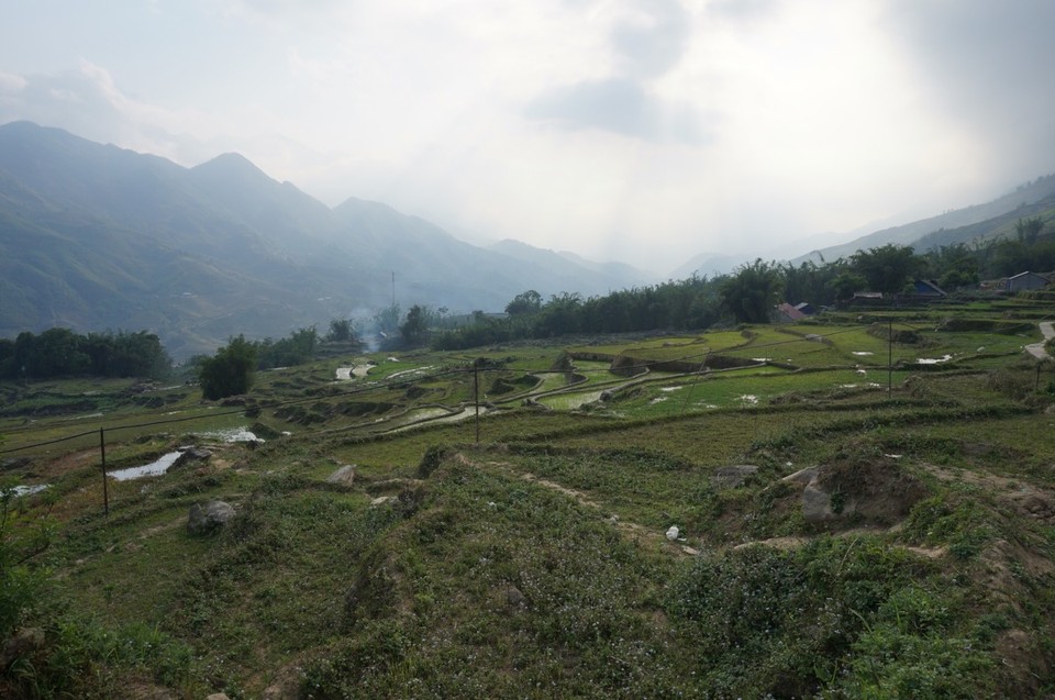 Vietnam -  - 