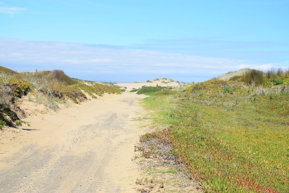 Neuseeland - Cape Reinga - 