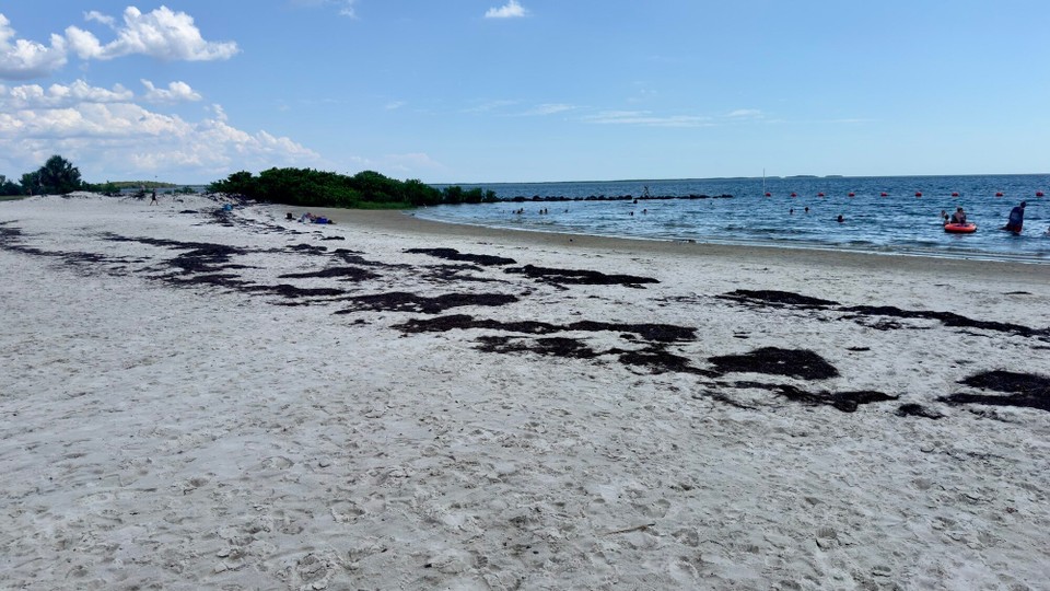 Vereinigte Staaten - Crystal River - 