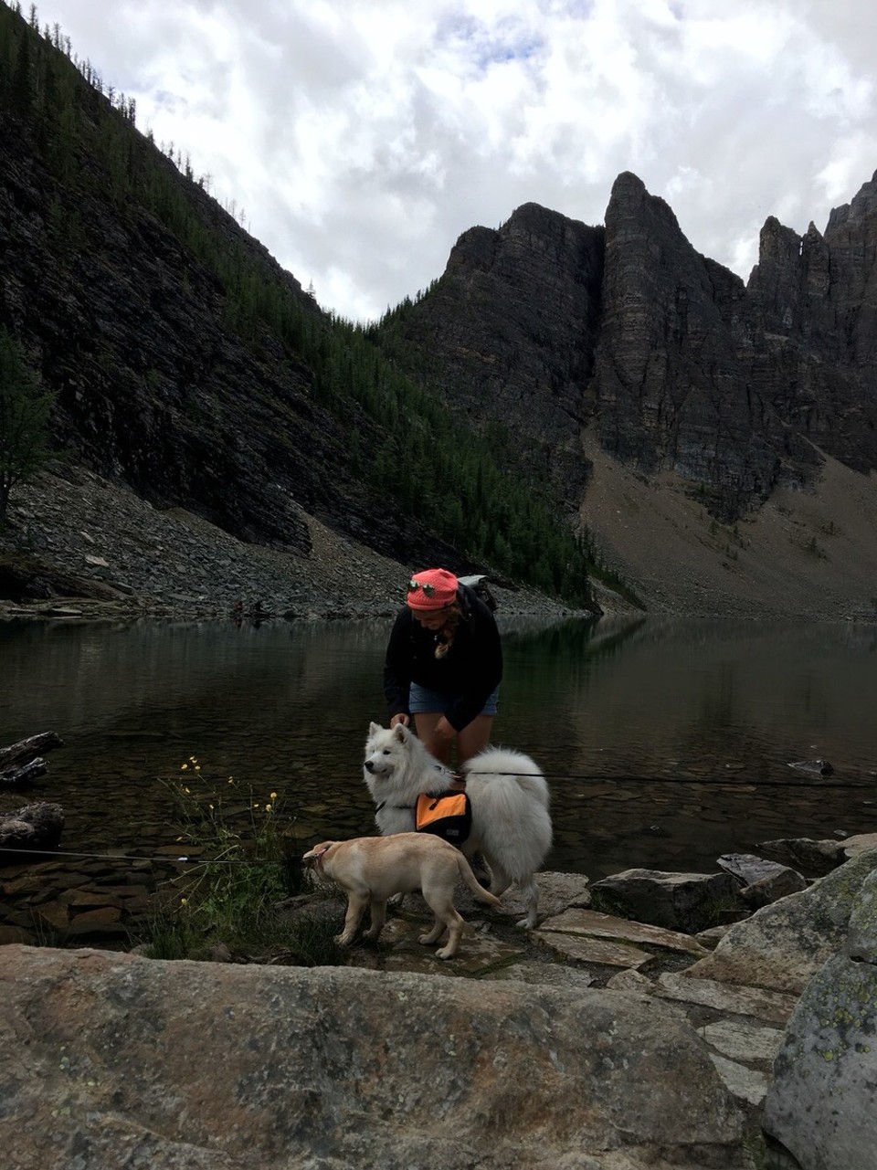 Kanada -  - Das ist doch mal die süßeste Fotobombe aller Zeiten. Wie süß sind die zwei kleinen