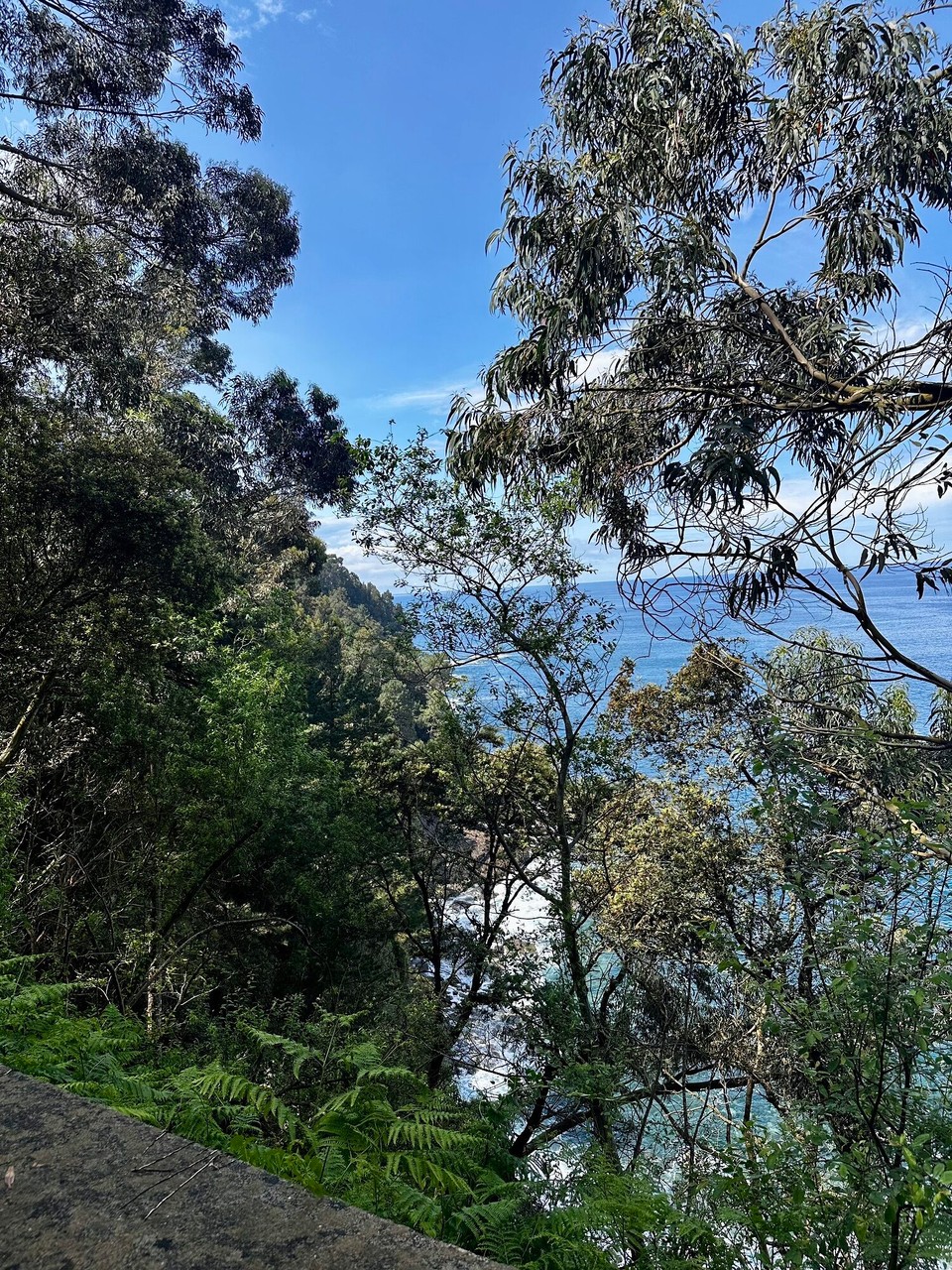 Spanien - Lekeitio - 