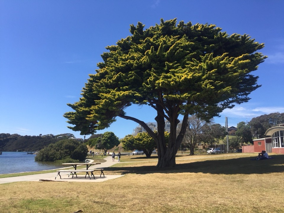  - Australia, Narooma, BIG4 Narooma Easts Holiday Park - 