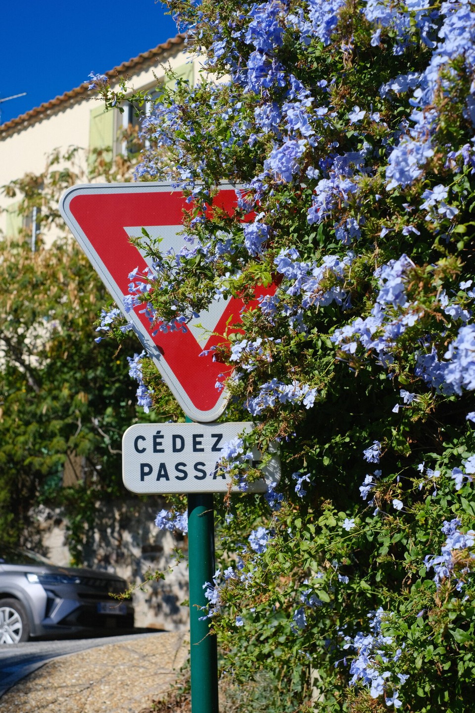 Frankreich - Ramatuelle - 