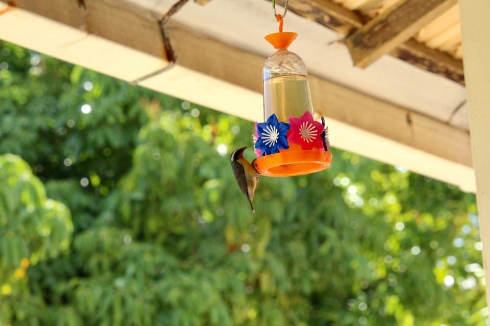 Brasilien - Governador Valadares - 