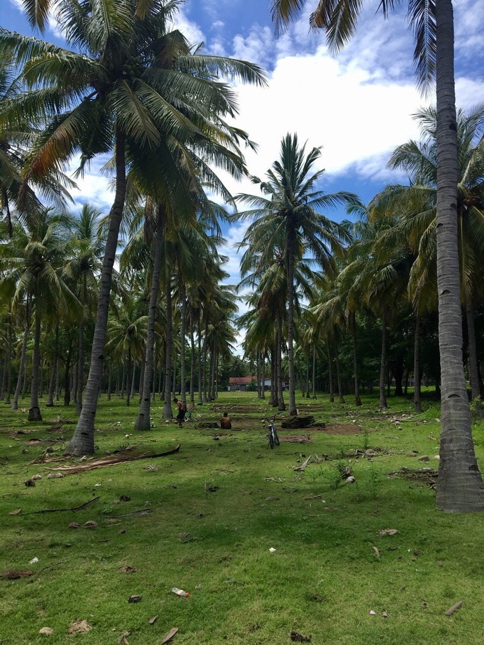 Indonesien - Lombok Utara - 