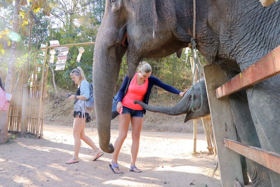 Thailand - Chiang Mai - 