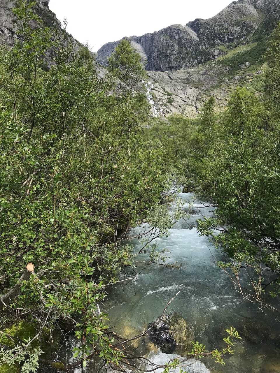 Norwegen - Gjerde - 