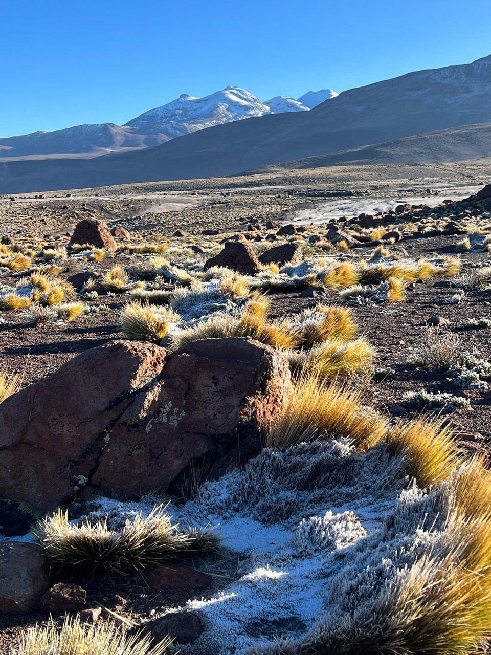 Chile - Antofagasta - 
