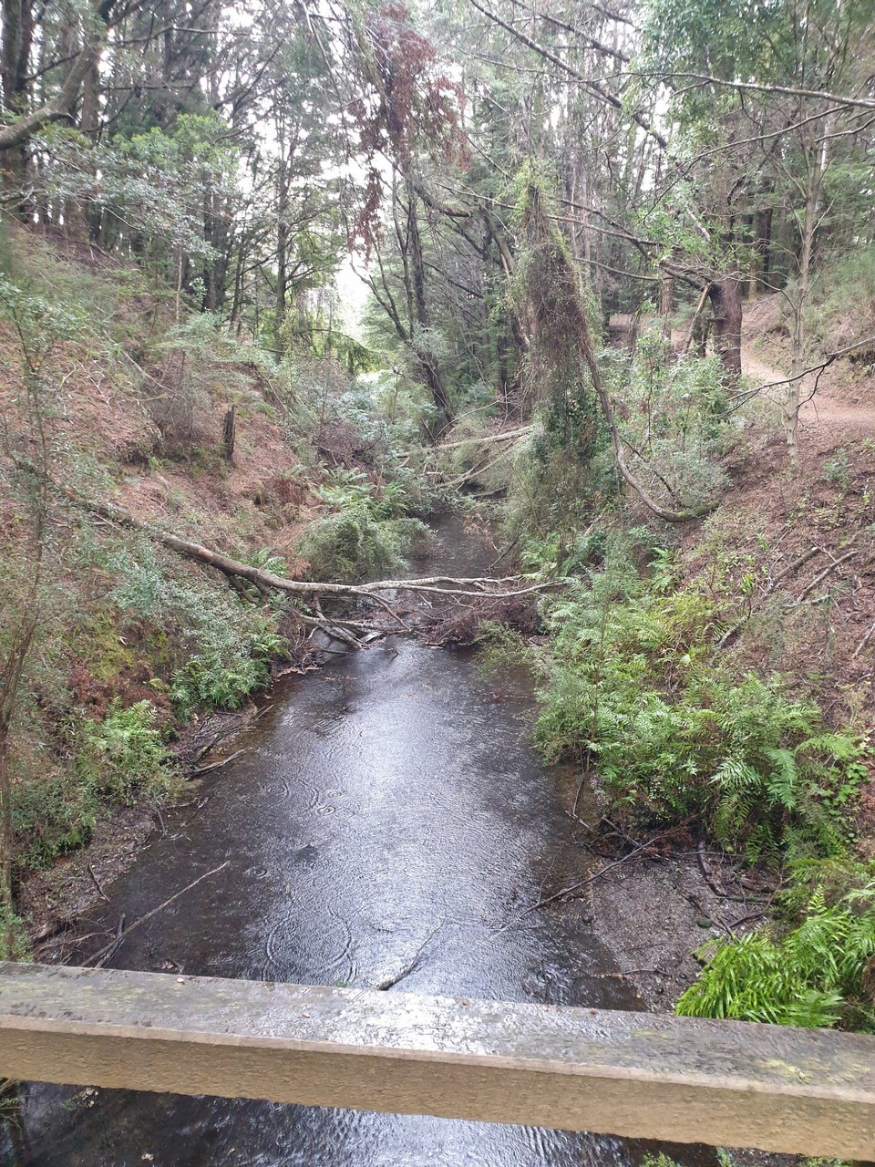 Neuseeland - Te Anau - 