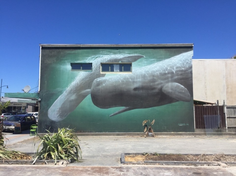 Neuseeland - Kaikoura - 