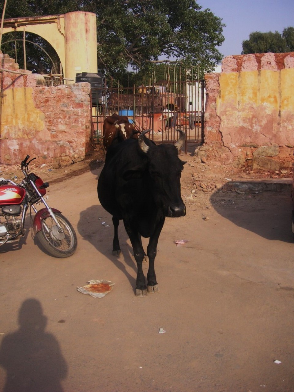 Indien - Jaipur - 