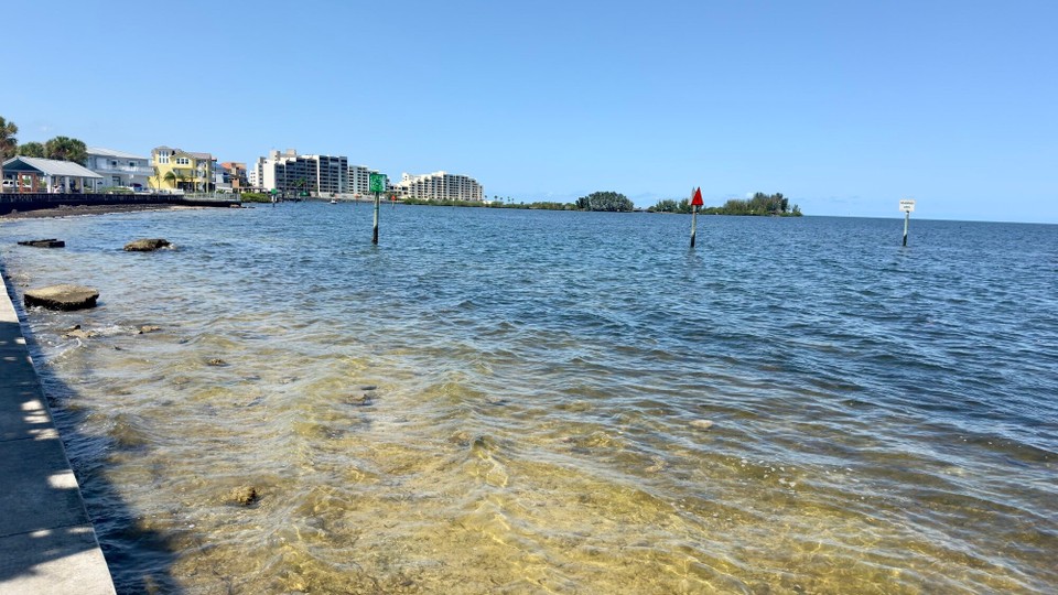 Vereinigte Staaten - Tampa - 