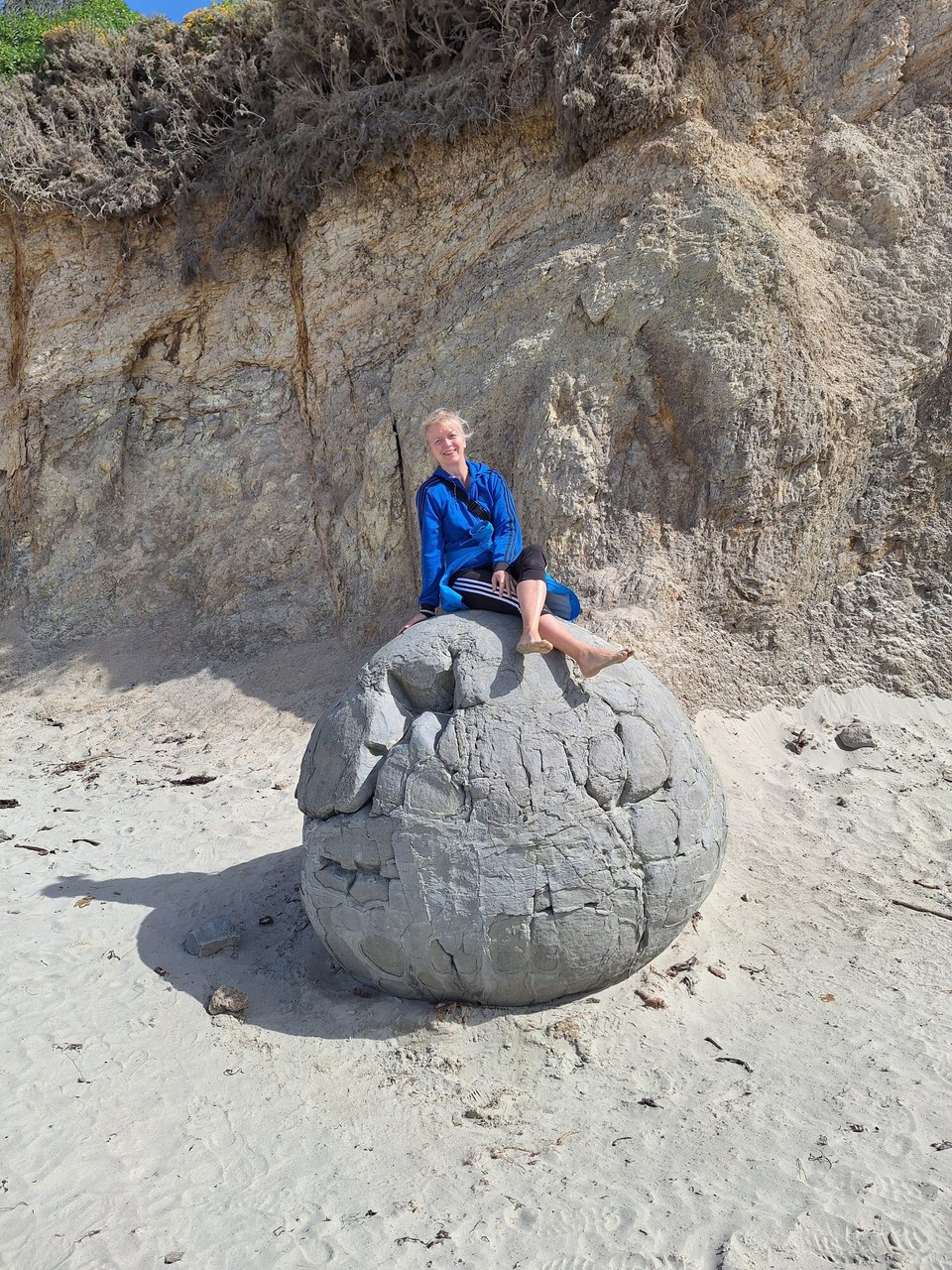 Neuseeland - Dunedin - 