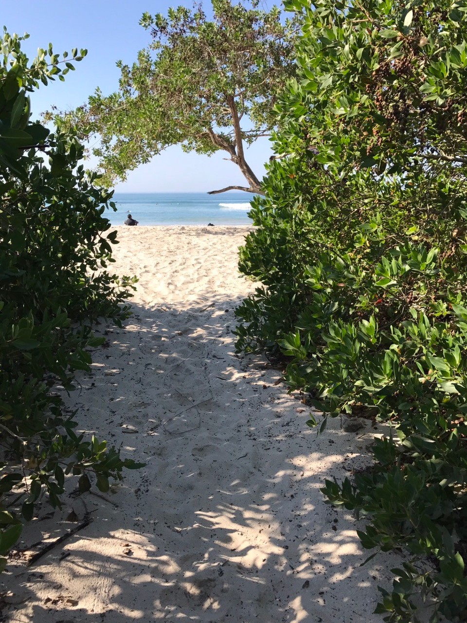 Mexiko - Punta Mita - 