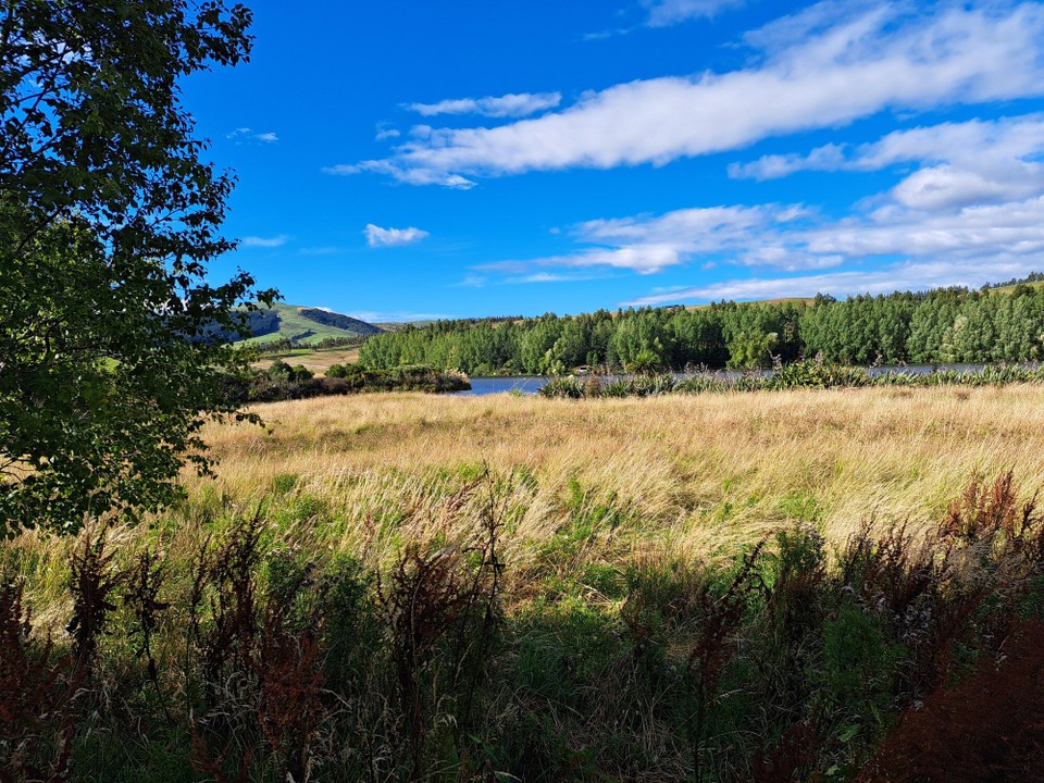 Neuseeland - Birchwood - 