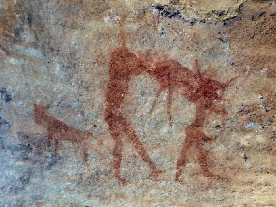 Südafrika - Clanwilliam - Tiertransport