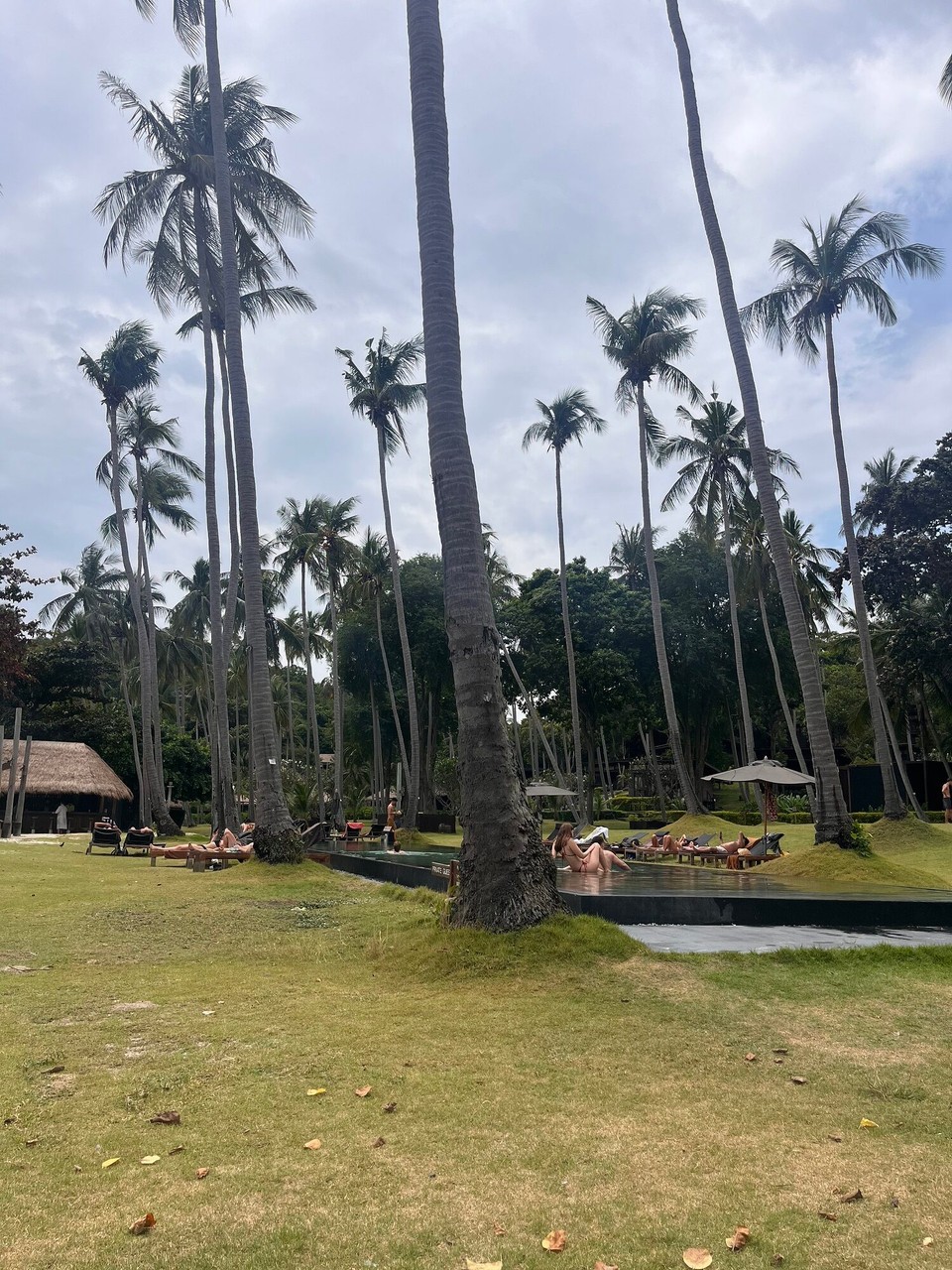 Thailand - Koh Samui - 
