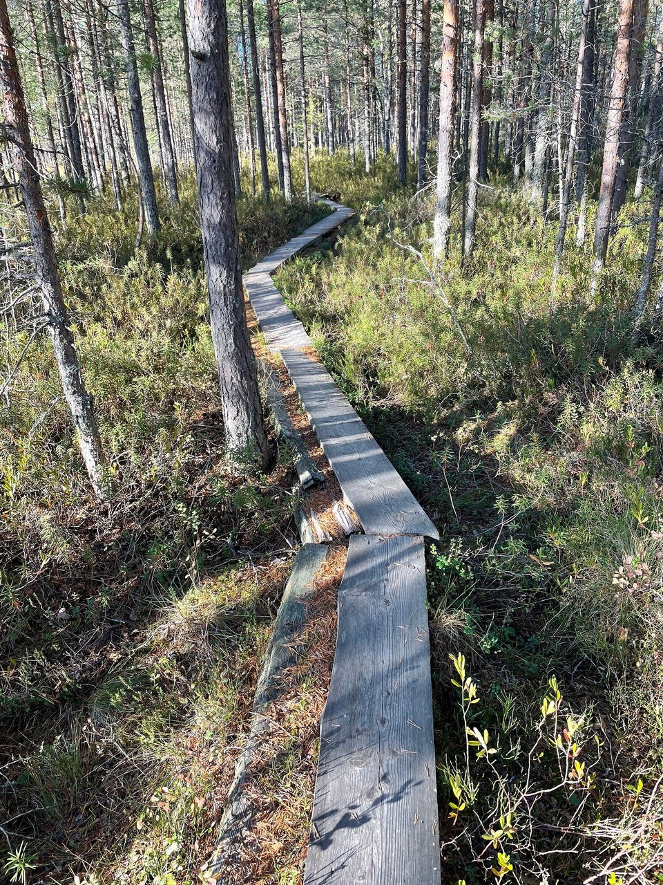 Finnland - Lievestuore - Und mal wieder geht’s über Bretter 