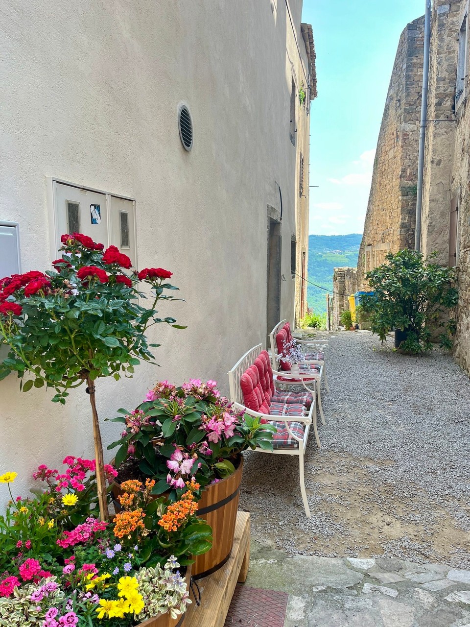 Kroatien - Motovun - 