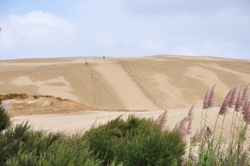 Neuseeland - Cape Reinga - Sanddüne