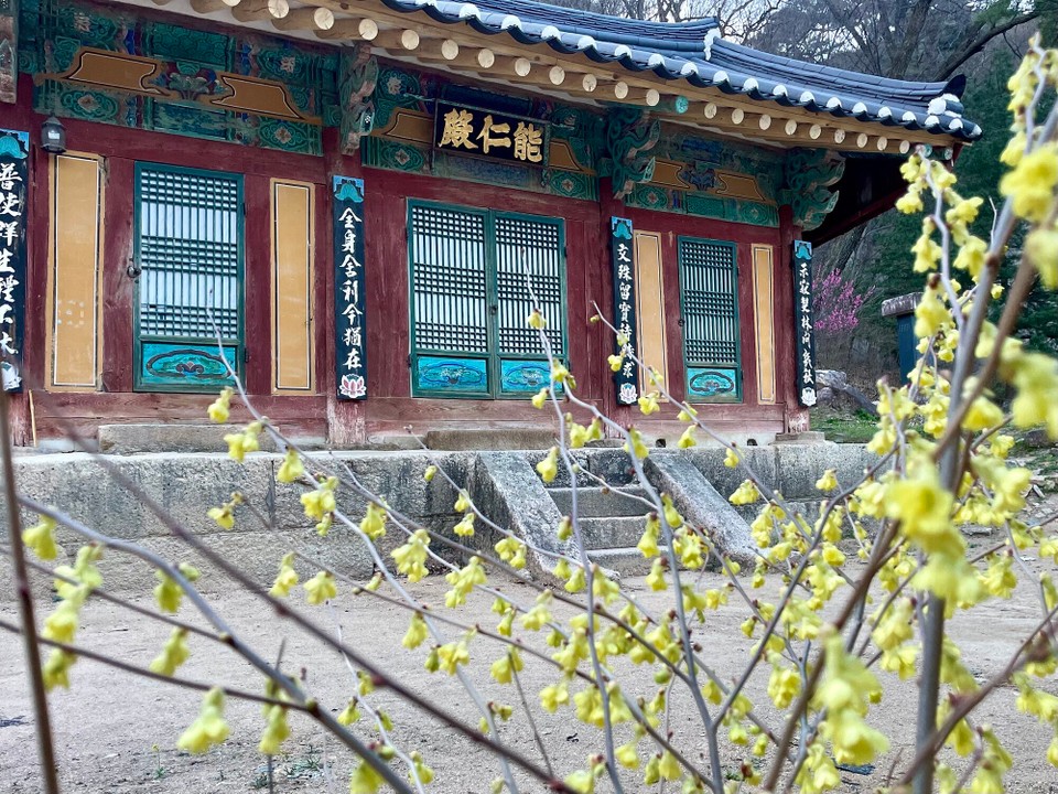 대한민국 -  - 
